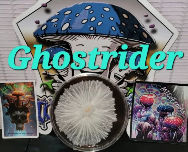 Ghostrider Research Plate