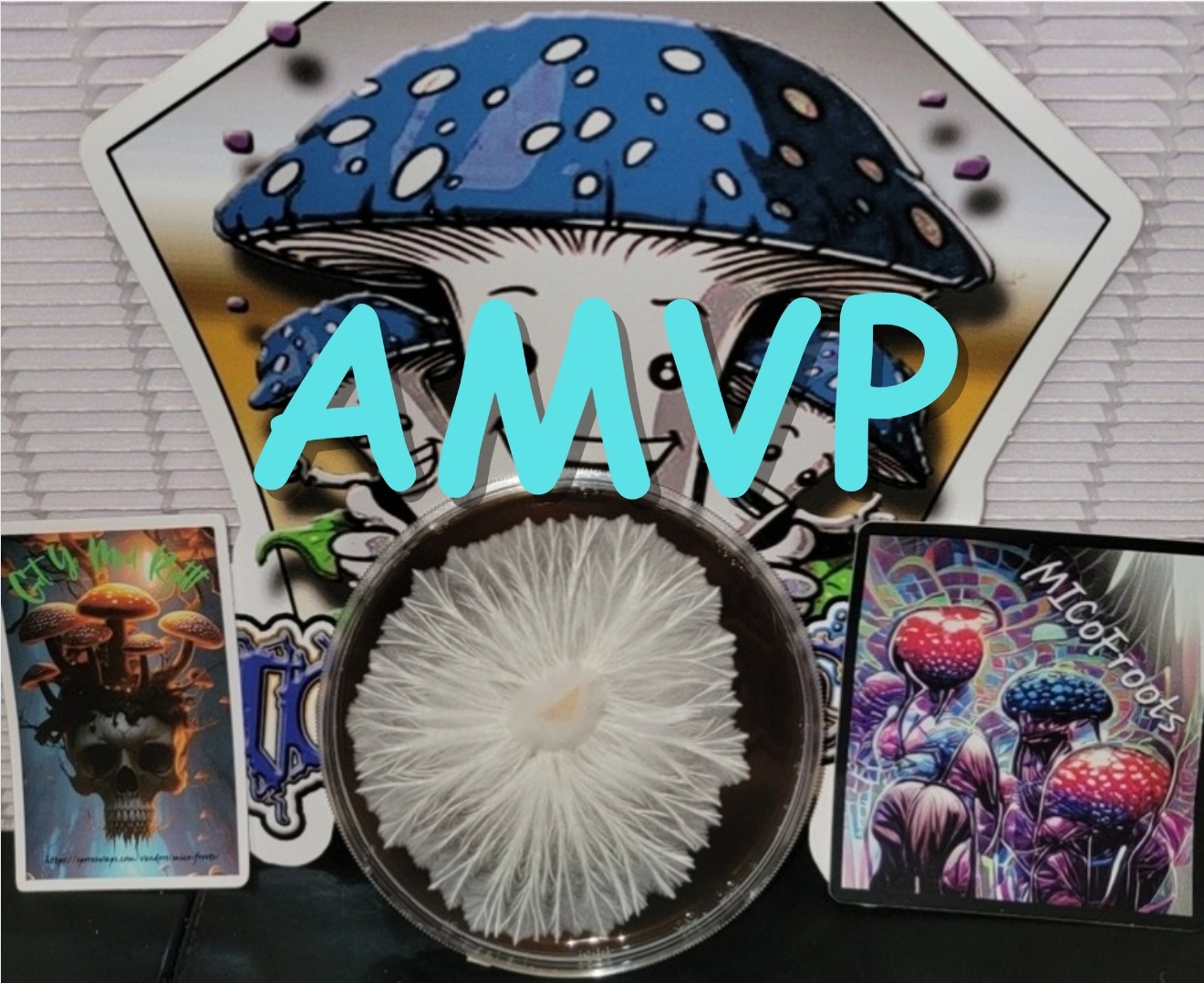 Albino Most Valuable Producer Research Plate (AMVP)