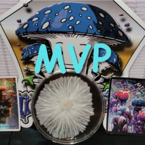 Most Valuable Producer Research Plate