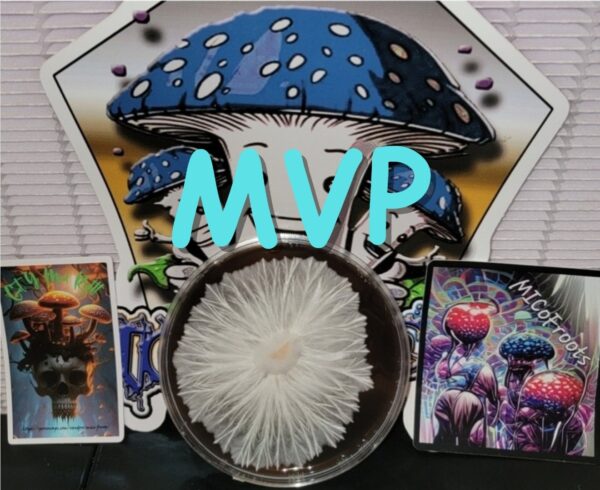 Most Valuable Producer Research Plate