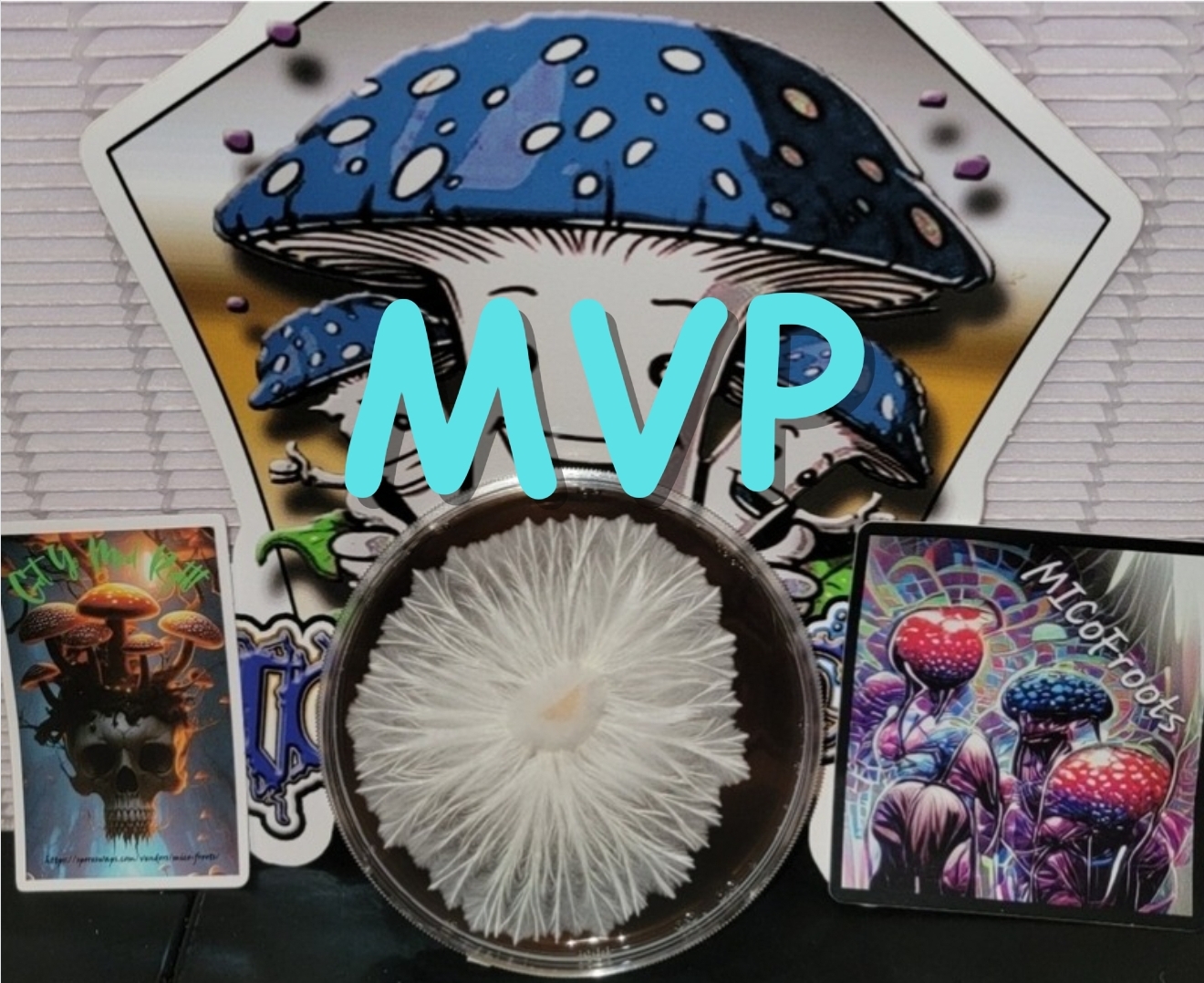 Most Valuable Producer Research Plate