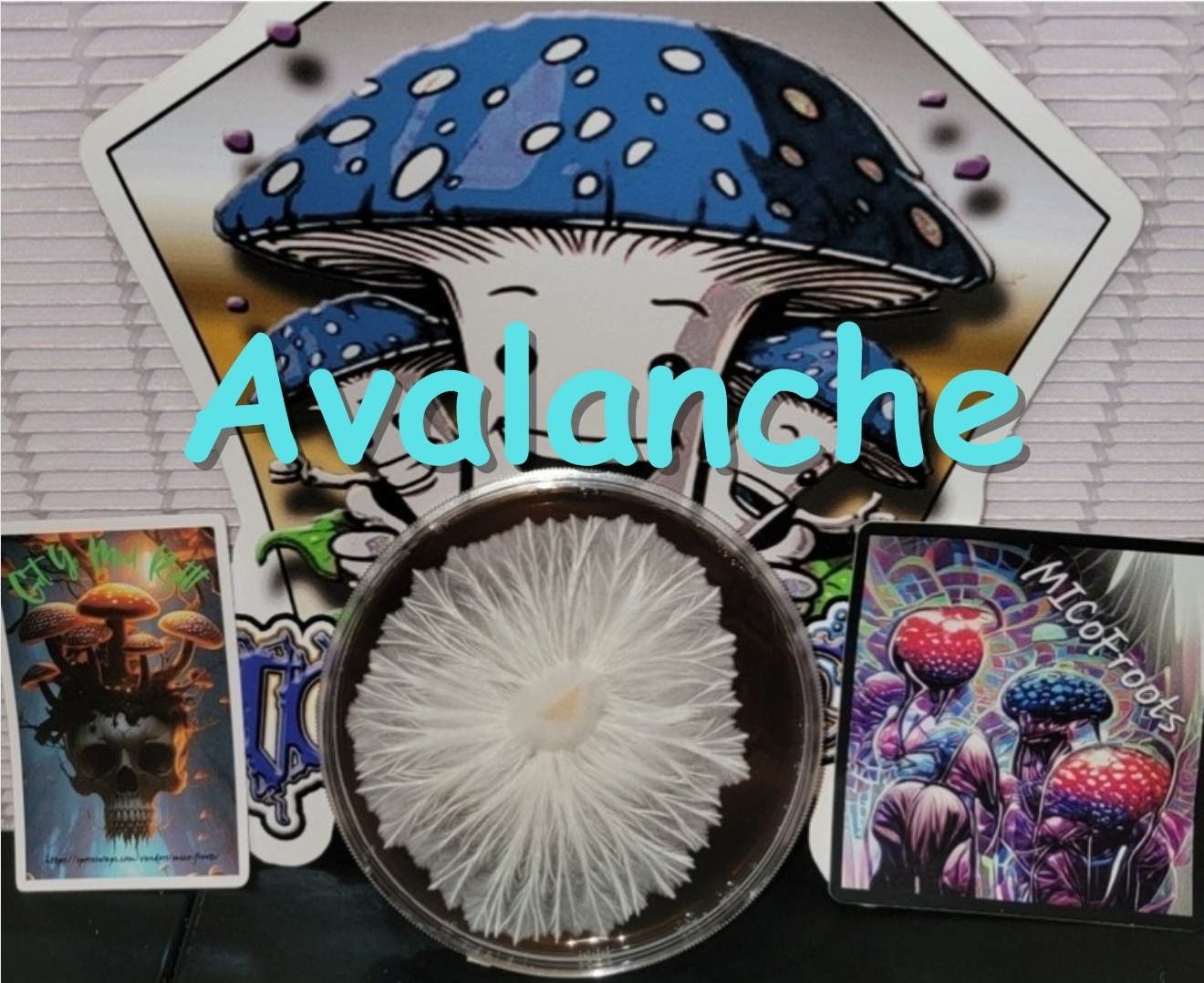Avalanche Research Plate (Yeti x Melmak)