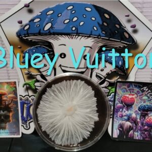 Bluey Vuitton Research Plate (Panama x Melmak PE)