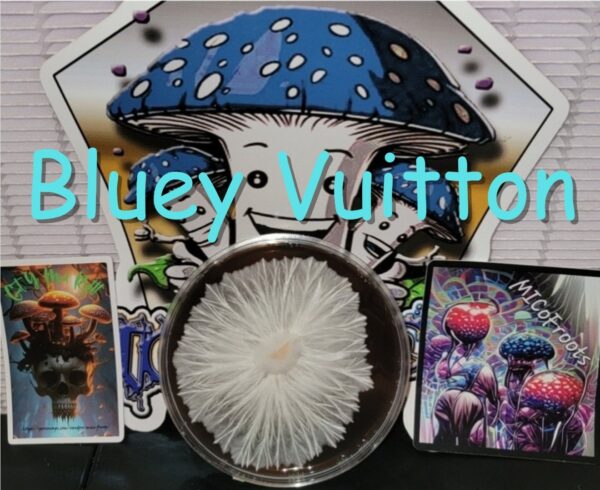 Bluey Vuitton Research Plate (Panama x Melmak PE)
