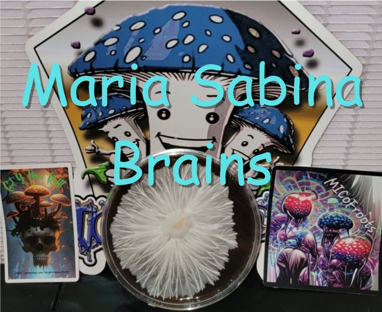 Maria Sabina Brains Research Plate