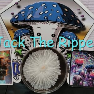 Jack The Ripper Research Plate