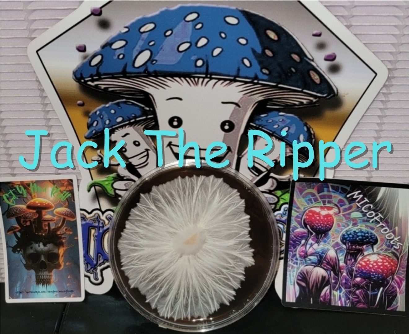Jack The Ripper Research Plate