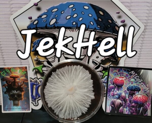 JekHell F1 Research Plate