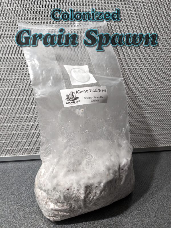 4lb Fully Colonized Grain Spawn - Customers Choice