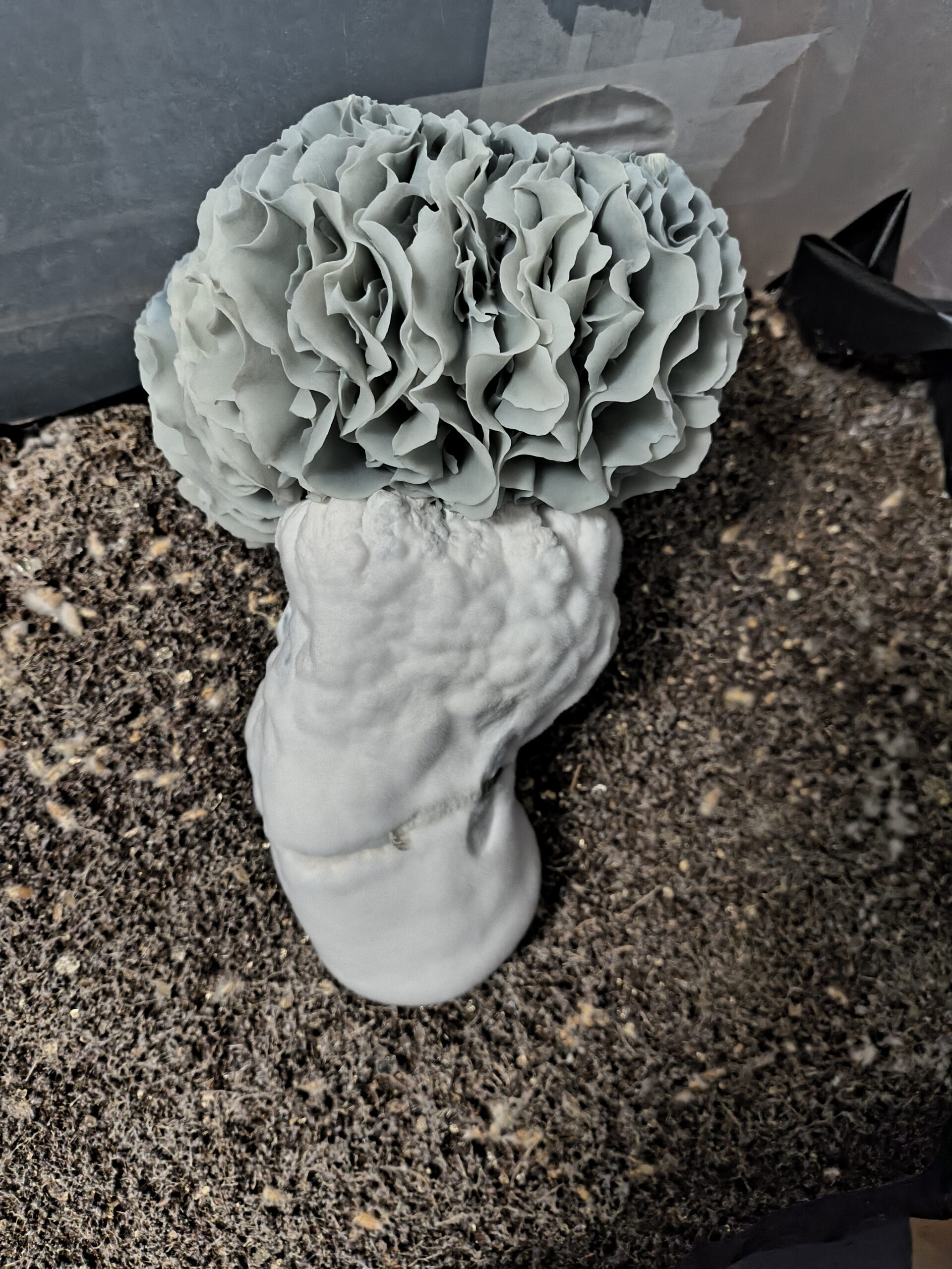 AM659 Swab Set - Image 2