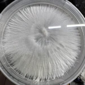 Galactic Gorilla Research Plate
