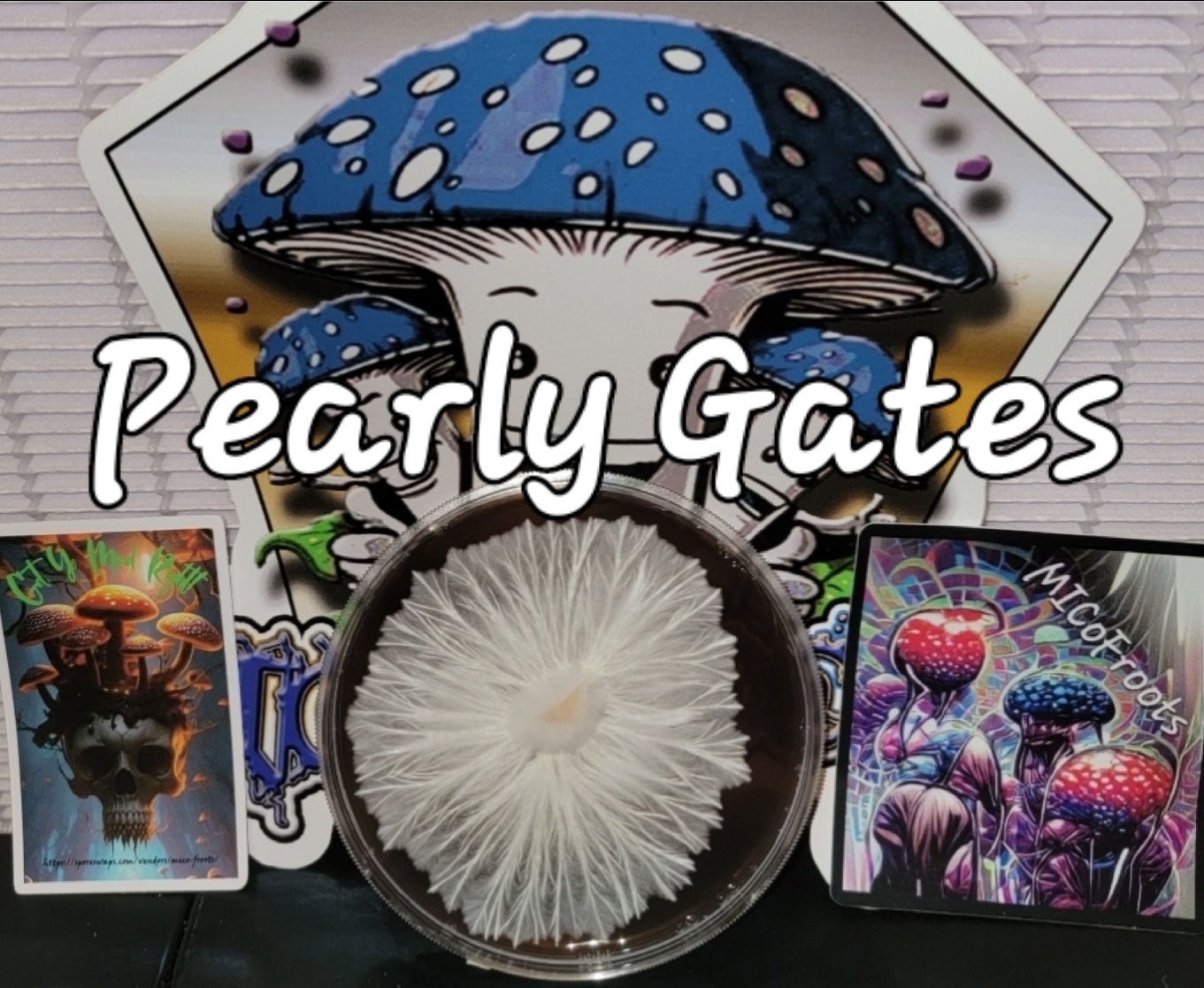 Pearly Gates Research Plate (TAT x Homestead PE)