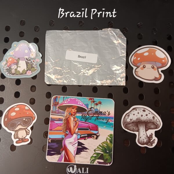 Brazil Spore Print