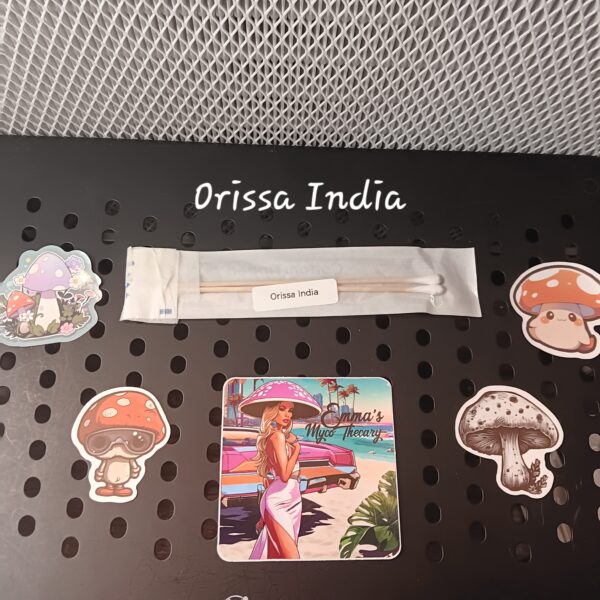 Orissa India Swab Set