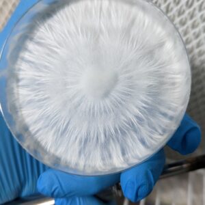 BiFrost “Yggdrasil” Research Plate 100mm