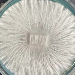 Albino Melmak Research Plate