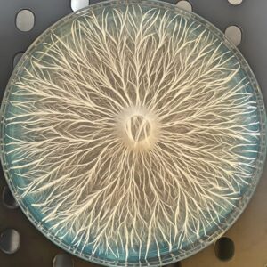 Blue Storm Research Plate