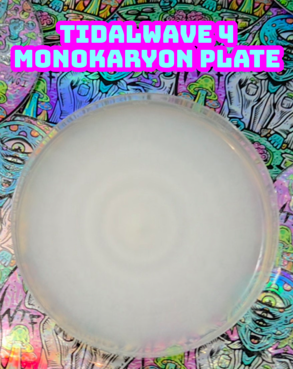 TidalWave 4 Monokaryon Research Plate 90mm