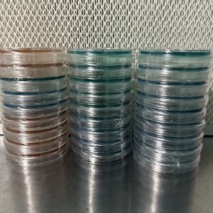 10ct Research Plate Bundle Pack
