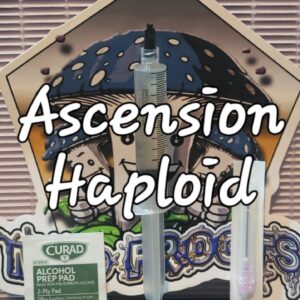MONOKARYON - Ascension Research Syringe (DE+SNAPE x TBC)