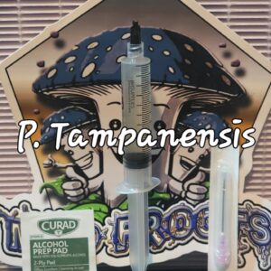 Psilocybe Tampanensis Research Syringe