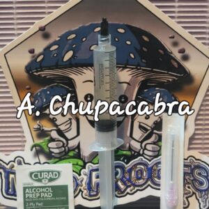 Albino Chupacabra Research Syringe