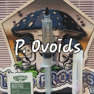 Psilocybe Ovoideocystidiata Research Syringe