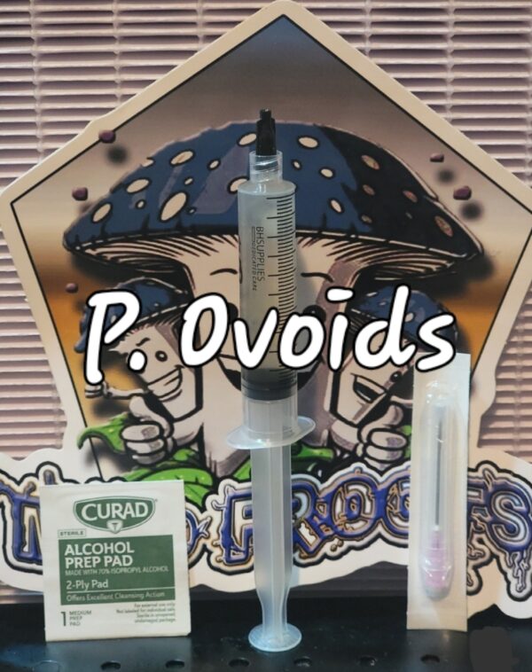 Psilocybe Ovoideocystidiata Research Syringe