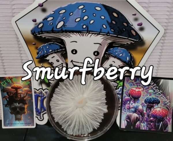 Smurfberry Research Plate