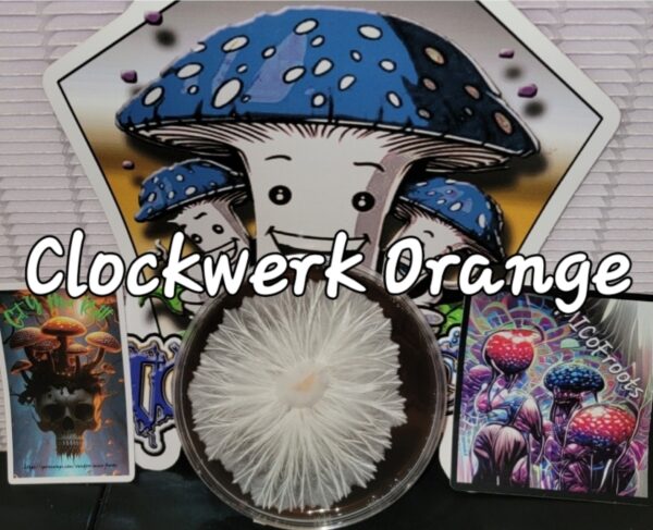Clockwerk Orange Research Plate