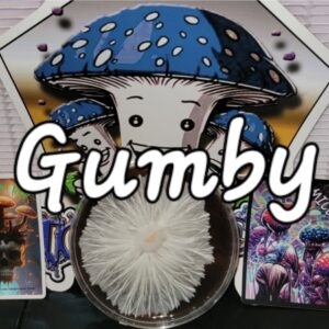 Gumby Research Plate