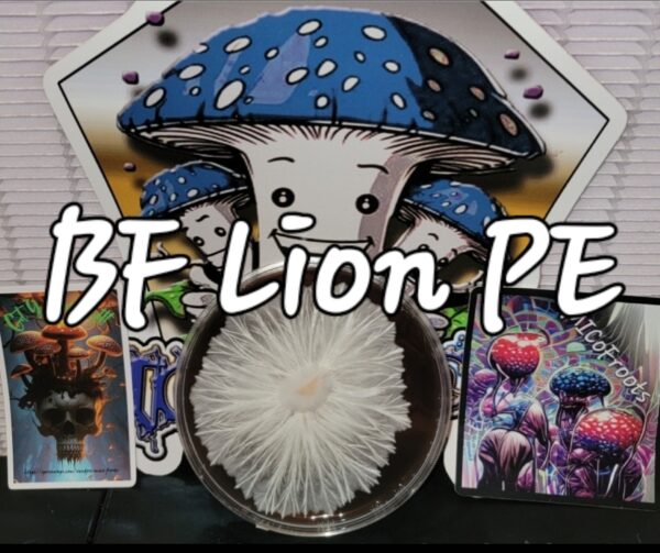 BF Lion Penis Envy Research Plate
