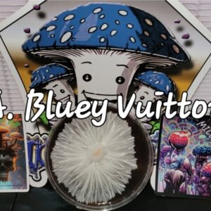 Albino Bluey Vuitton Research Plate