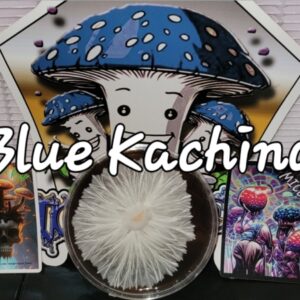 Blue Kachina Research Plate (Makilla Gorilla x SV-10)