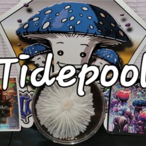 Tidepool Research Plate