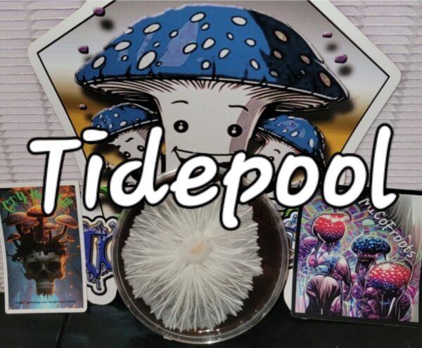 Tidepool Research Plate