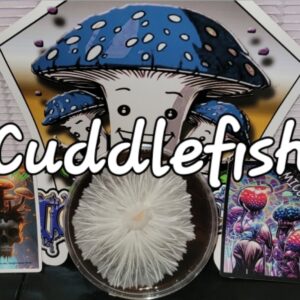 Cuddlefish Research Plate