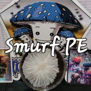 Smurf Penis Envy Research Plate