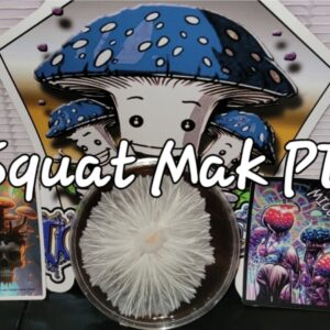 Squat-Mak Penis Envy Research Plate