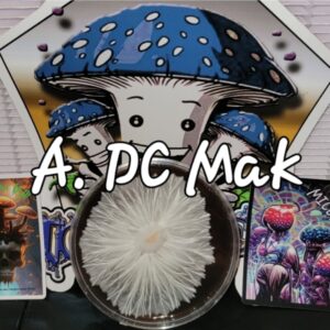 Albino DC Mak Research Plate