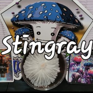 Stingray Research Plate