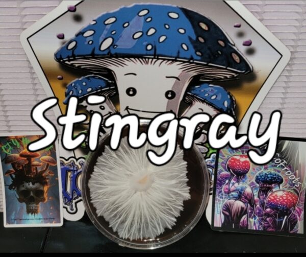 Stingray Research Plate