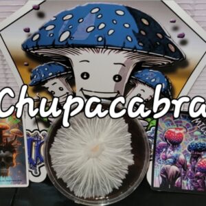 Chupacabra Research Plate