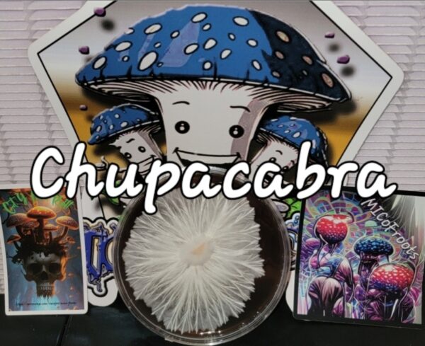 Chupacabra Research Plate