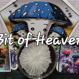 Bit of Heaven Research Plate