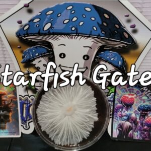 Starfish Gates Research Plate