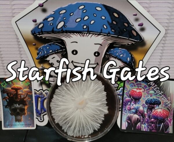 Starfish Gates Research Plate