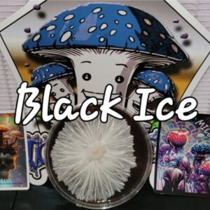 Black Ice Research Plate