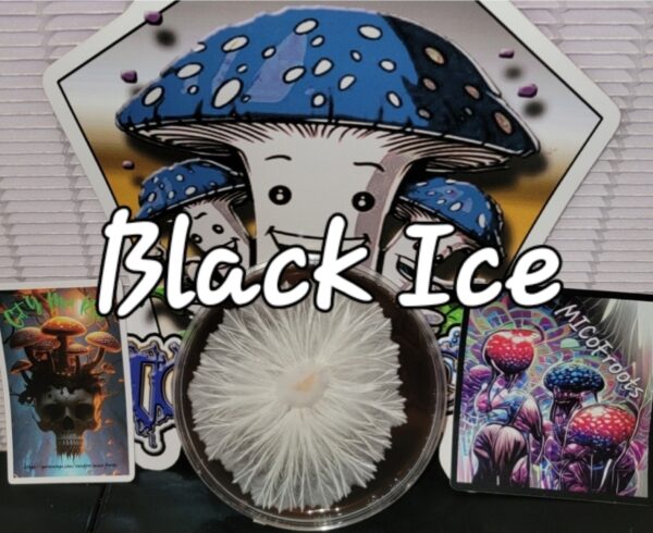 Black Ice Research Plate