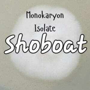 Shoboat Monokaryon Isolate Research Plate